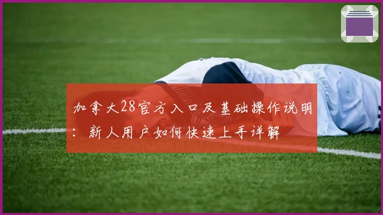 加拿大28官方入口及基础操作说明：新人用户如何快速上手详解