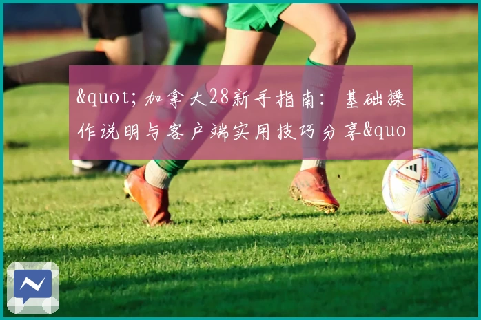 "加拿大28新手指南：基础操作说明与客户端实用技巧分享"