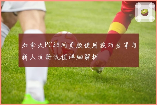 加拿大PC28网页版使用技巧分享与新人注册流程详细解析