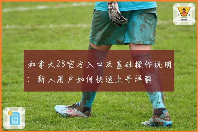 加拿大28官方入口及基础操作说明：新人用户如何快速上手详解