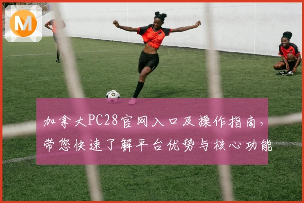 加拿大PC28官网入口及操作指南，带您快速了解平台优势与核心功能解析