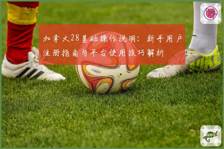 加拿大28基础操作说明:新手用户注册指南与平台使用技巧解析