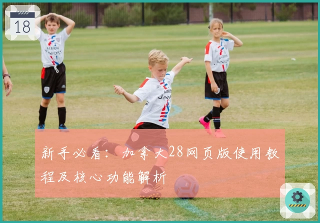 新手必看：加拿大28网页版使用教程及核心功能解析