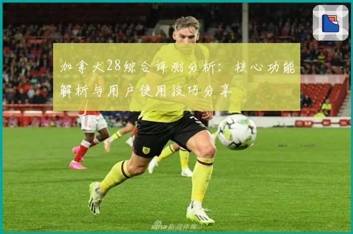 加拿大28综合评测分析：核心功能解析与用户使用技巧分享