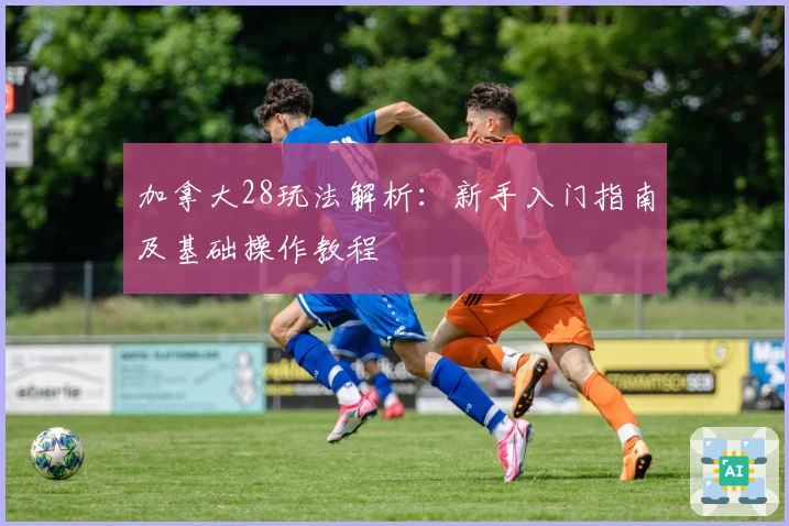 加拿大28玩法解析：新手入门指南及基础操作教程