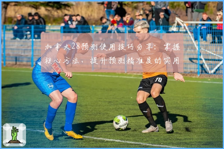 加拿大28预测使用技巧分享:掌握核心方法,提升预测精准度的实用指南