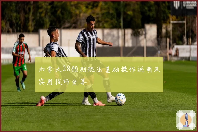 加拿大28预测玩法基础操作说明及实用技巧分享